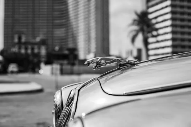 Kazoom Kasino Android/iOS aplikace